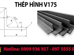 Thép Hình V 175