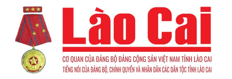 báo lào cai nói về sáng chinh